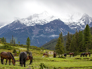 Radurlaub im Hotel Steiger in Neukirchen